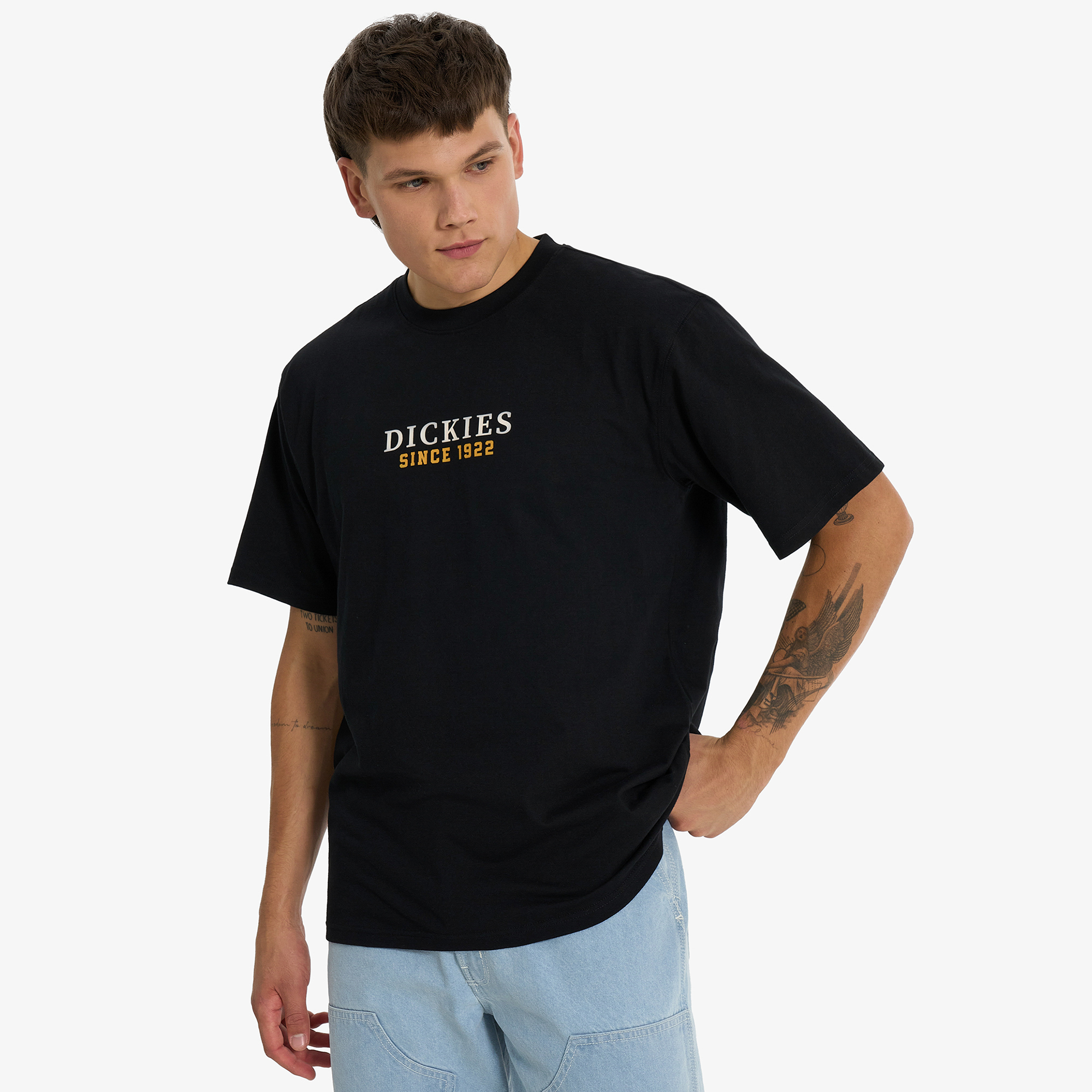 

Мужская футболка DICKIES, Черный
