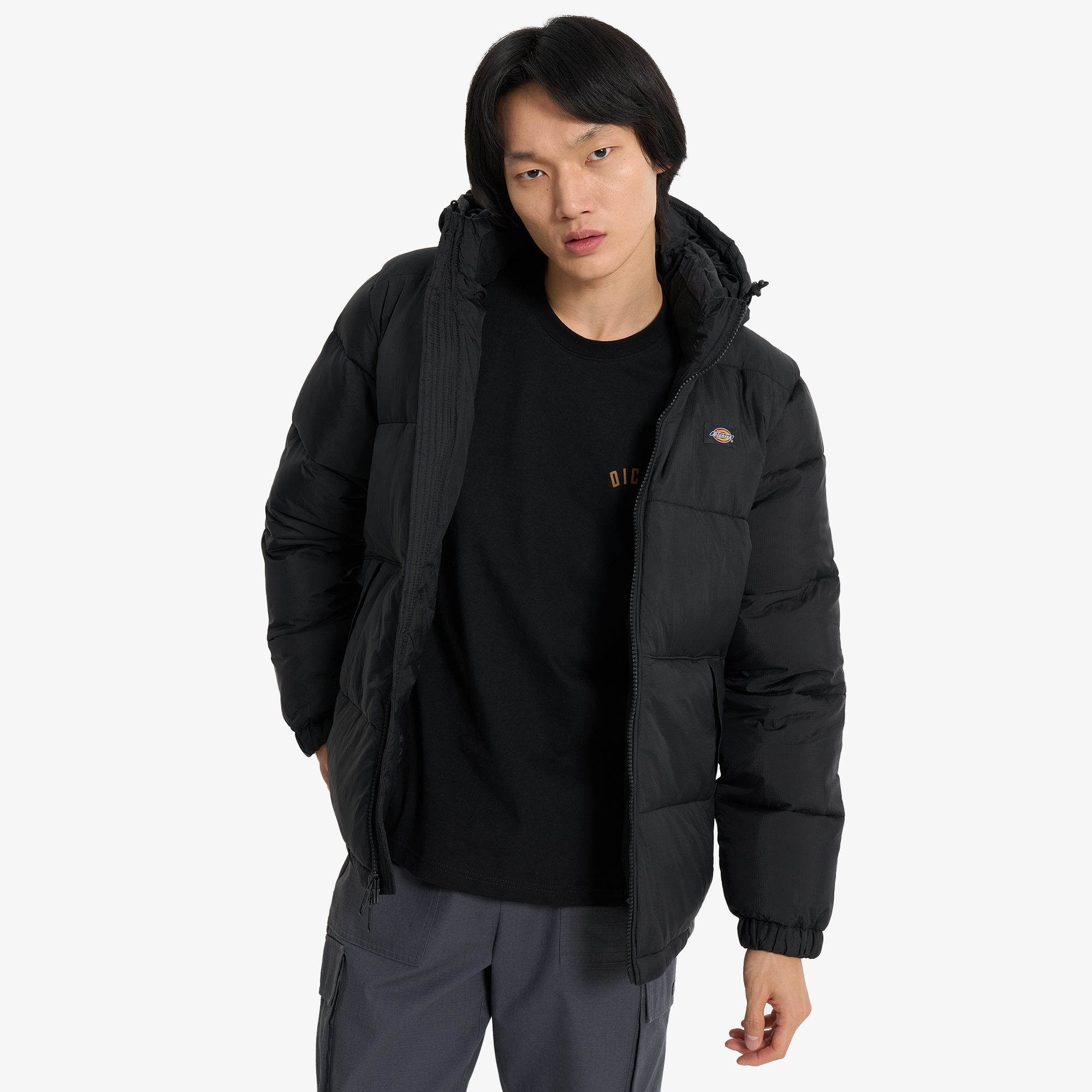 

Мужская куртка DICKIES Waldenburg, Черный
