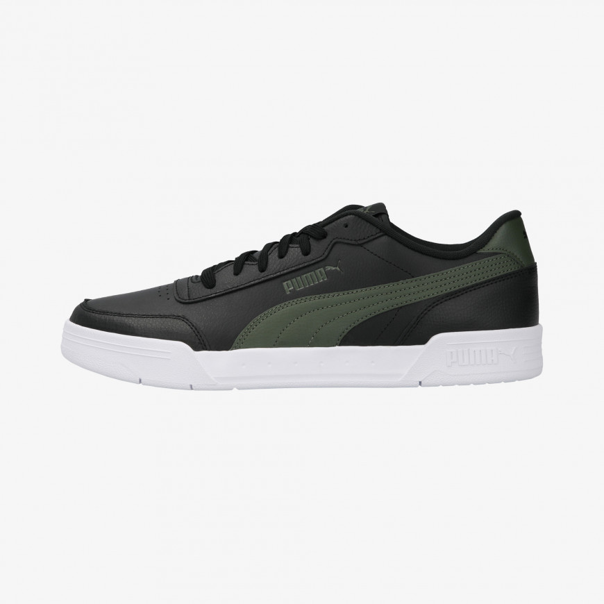 puma caracal
